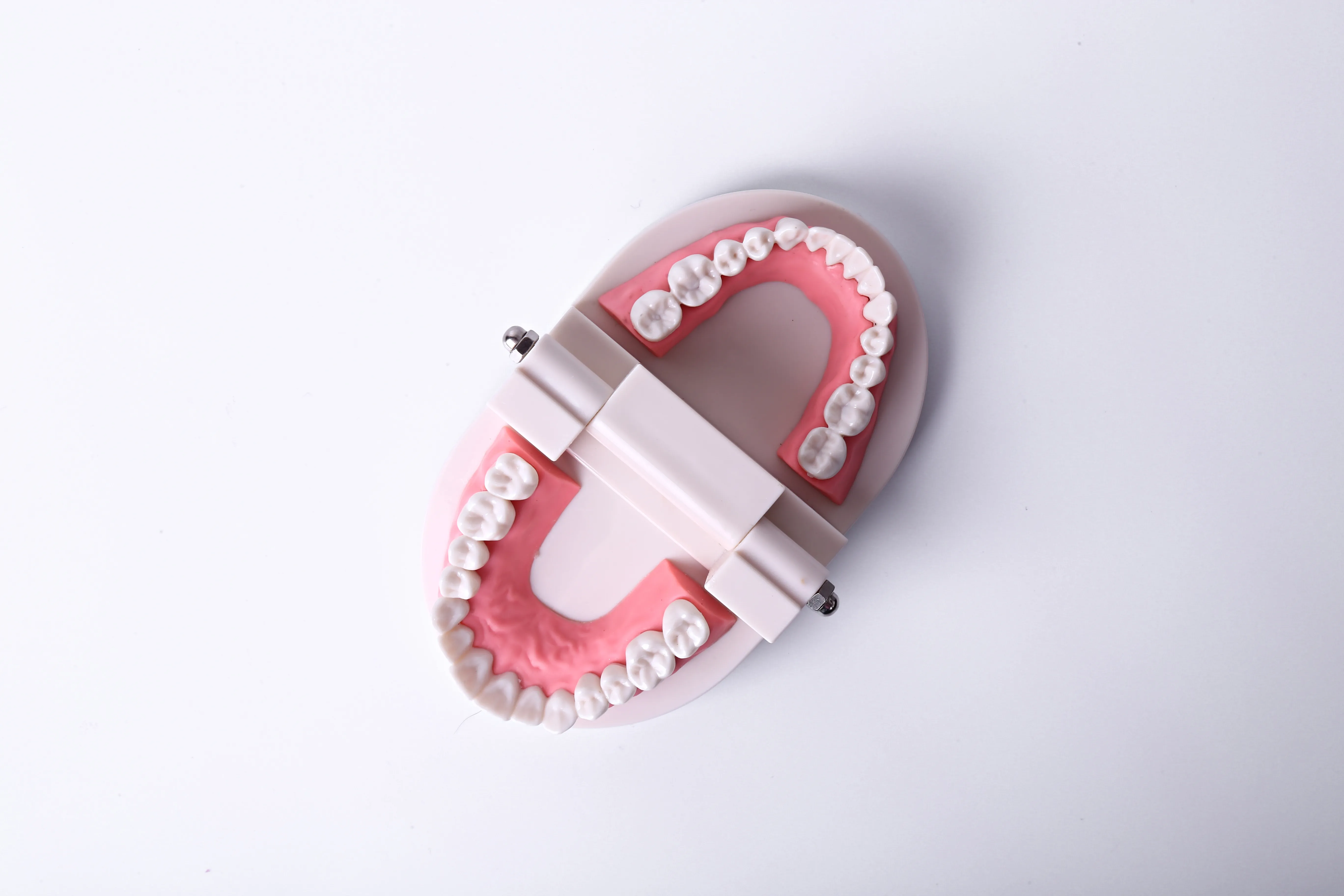 General Dentistry Image